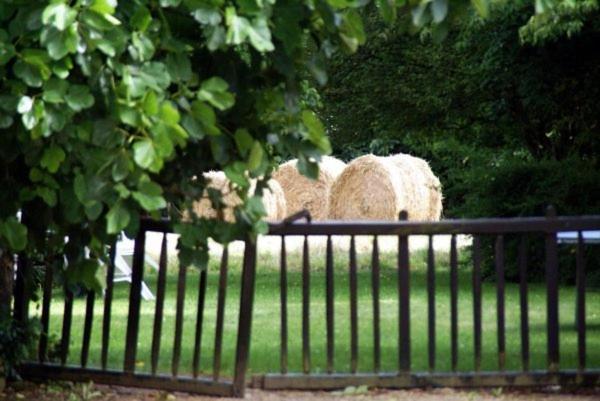 Les Pieds Dans L'Herbe Bed & Breakfast Rosporden Dış mekan fotoğraf